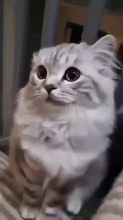 Send this to a friend 