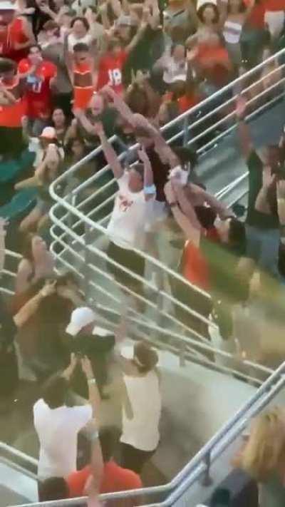 Baseball fans catching a falling stray cat with an American flag