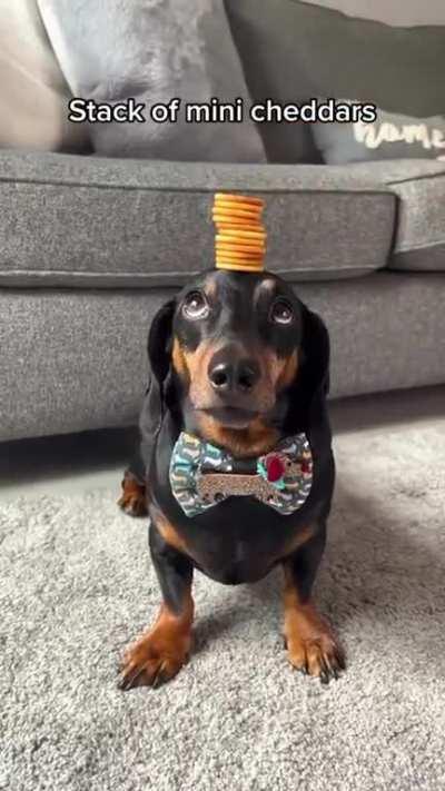 Harlso clearly passed the vibe check