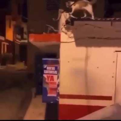 Slap... Slap... Slap... My work here is done