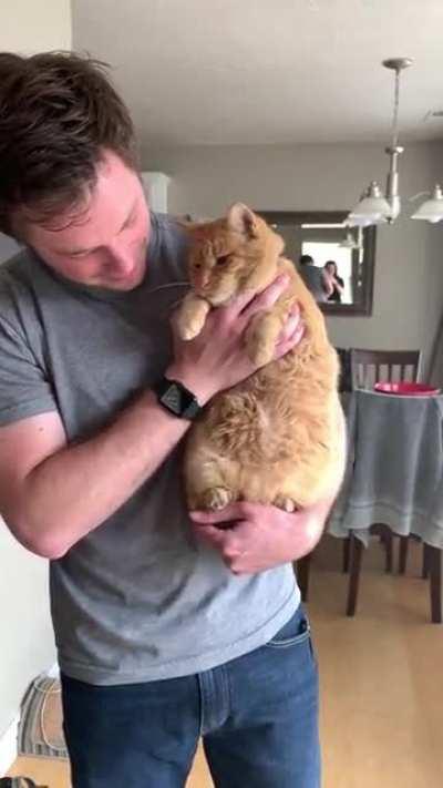 I hope this jiggly little belly dance helps you have a good day!