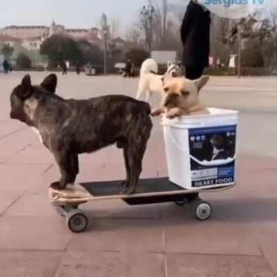 They riding together