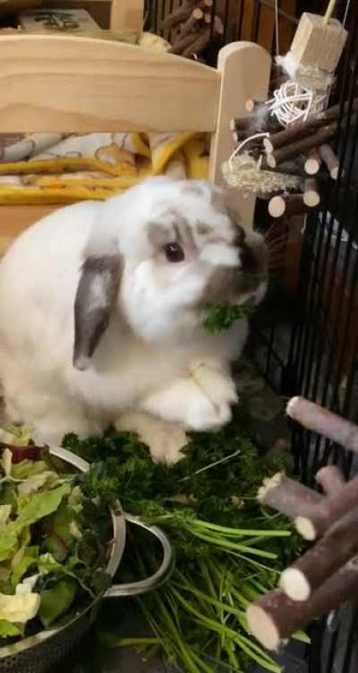 the struggle 🥺🙈