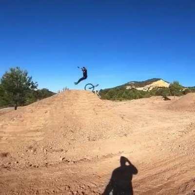 Task failed successfully