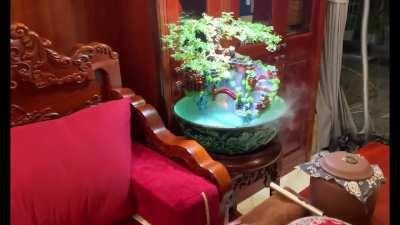 2 gardens in my living room