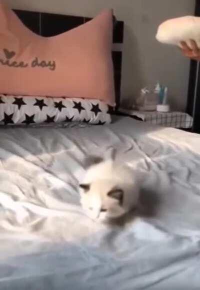 I believe I can jump !