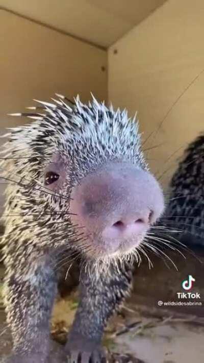 Not so forbidden now huh