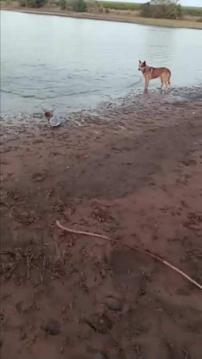 NUUUOOOOOOOOOOOOOOSSA SINHOOOOOOOORAAAAAAAAAA KKKKKKKKKKKKKKKKKKKKKK