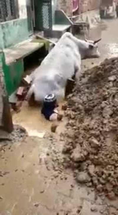 Helping the helpless!