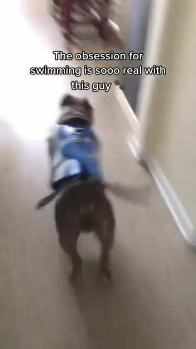 The obsession for swimming is sooo real with this guy