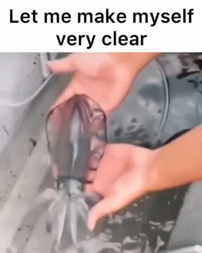 Clear squid