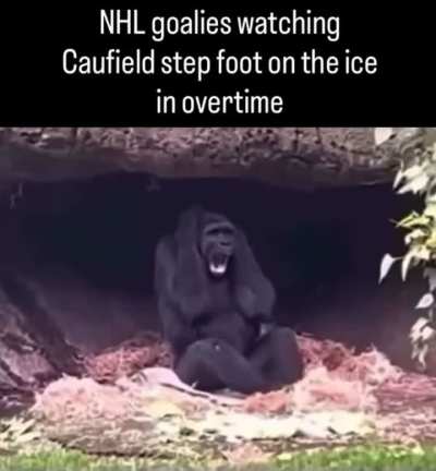 Robin Lehner never recovered