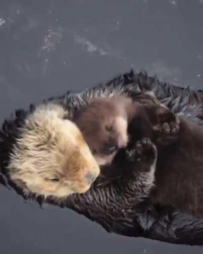 How I feel when my love holds me ❤️