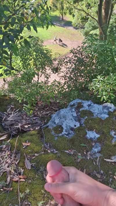 An alpha strokes wherever he wants