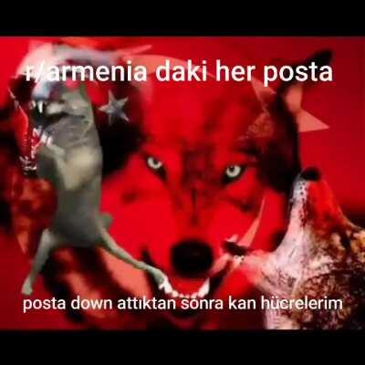 Yaşasın ırkımız