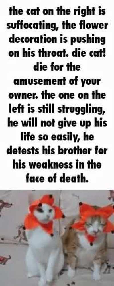 Brink of destruction