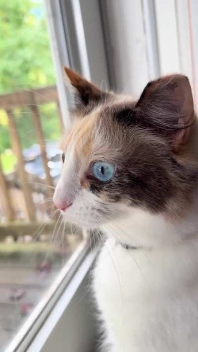 May I present… Fiona’s ekekek