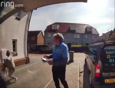 Woman saves dog jumping out of window