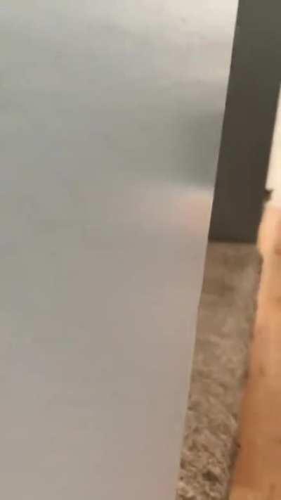 Maybe not killed....