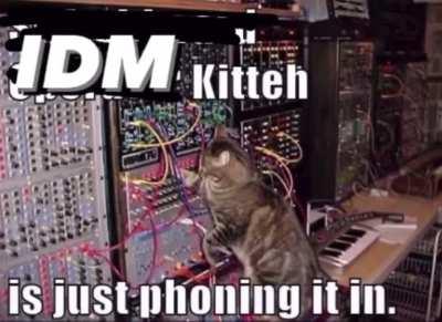 Aphex twin kitteh