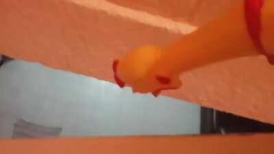 Pollo siendo torturado con música de la rosa de guadalupe