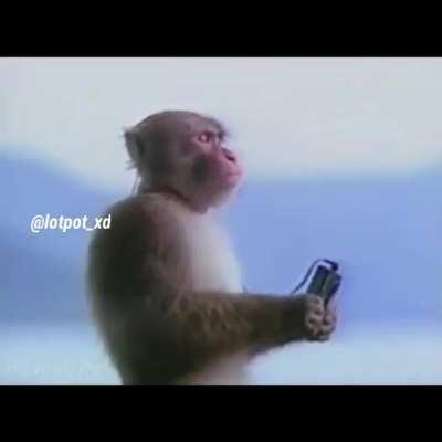 video to dekhi he hogi sab ne