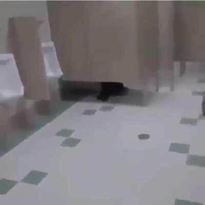 Principal must love em