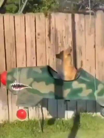 Jim if you put me in this one more time I’m running away