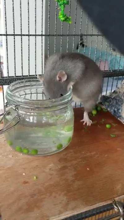 Forgive my patronising 