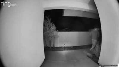 My sisters boyfriend accidentally let the cat out briefly. Cue scooby doo hallway chase.