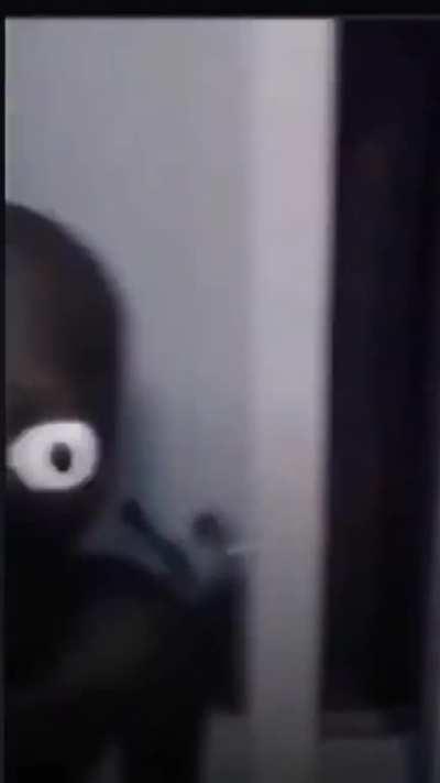 DoglaREDDIT - Video #0908