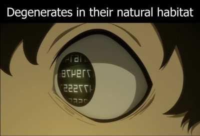 Just your average degenerate collecting sauces.