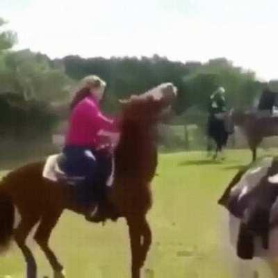 Horse mounting technique