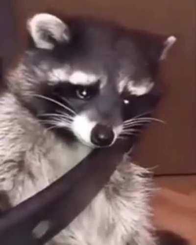 When you realize she forgot about you but you never will forget