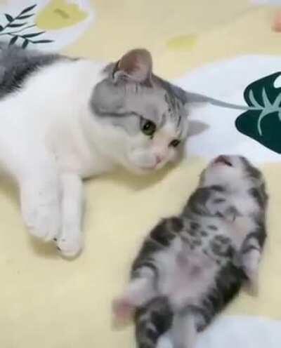 MoThEr FuCkInG eAtS hEr ChIlD aLiVe