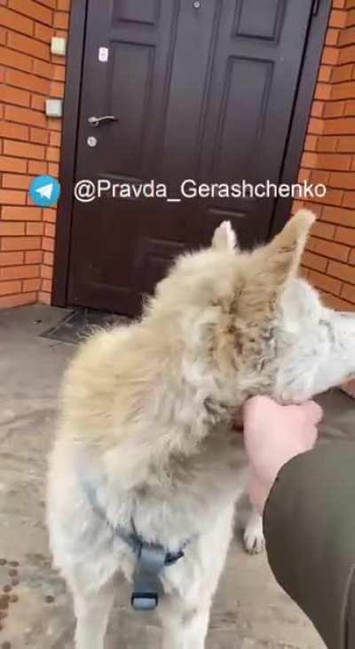 r/StopWWarInUkraine Lounge