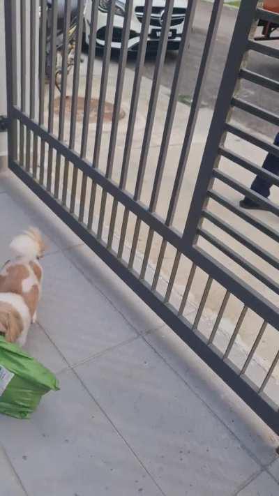 Your order has been delivered 