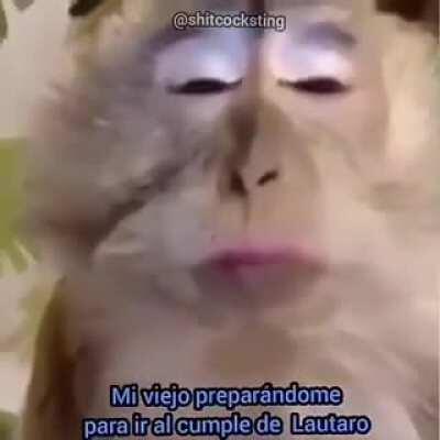 Upvote para que se quede sin porros este mes