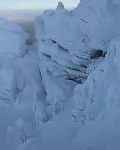 🔥 Snow in the wild looks so wonderful.