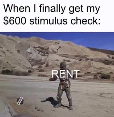 $600. Maybe a report?