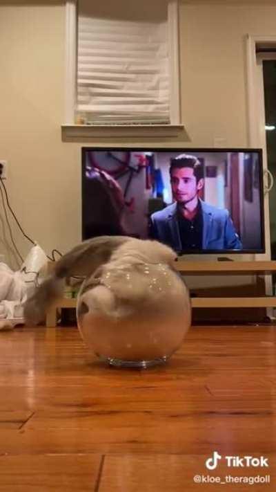 am fish glub glub water