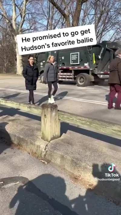Human helps dog get ball in Central Park, NYC
