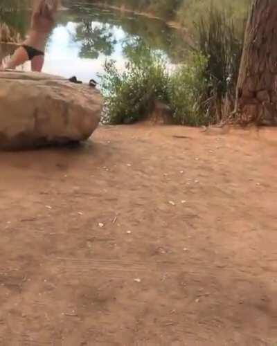 HMC as I swing from this tree