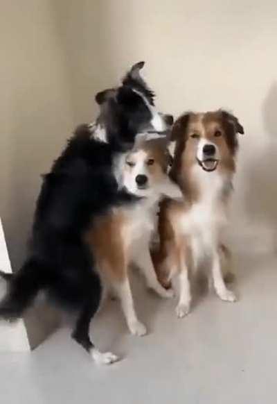 Everyone Say Cheese!!!