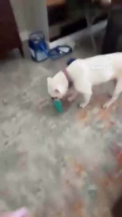 She was so healthy and in a month she got so sick and now she’s gone