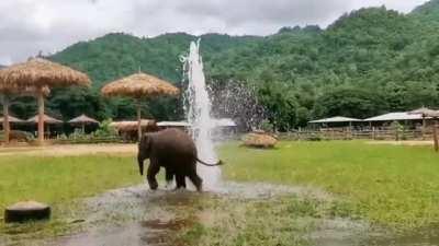 Fun with a broken water pipe