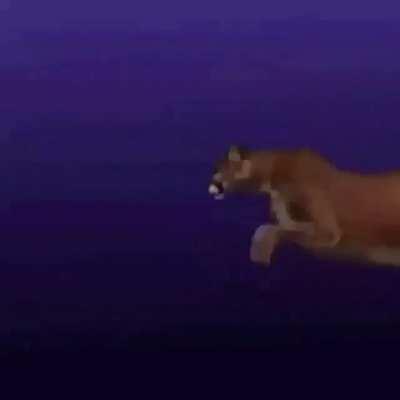 So women are snipers then yea?