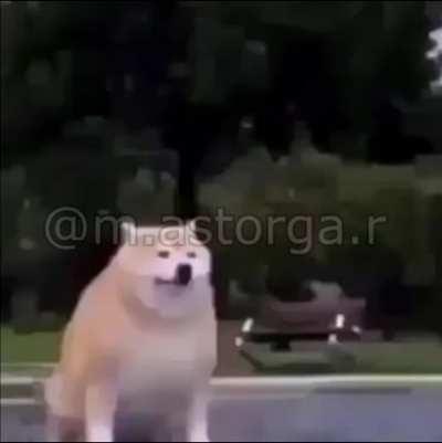 estrechez de corazon pam