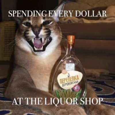 2 kimbo, 1 gregory, 1 from an animal rescue site