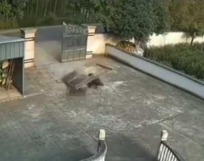 🔥 The strength of a wild boar smashing through a 100-pound iron gate with a single blow
